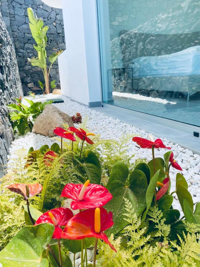 Rocavista - Villa With Heated Rooftop Pool And Amazing Ocean View アデヘ エクステリア 写真